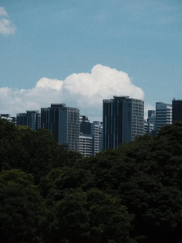 📍올림픽공원, 서울

언제와도 좋은 올림픽공원

맑은 날의 올림픽공원은 항상 옳다.