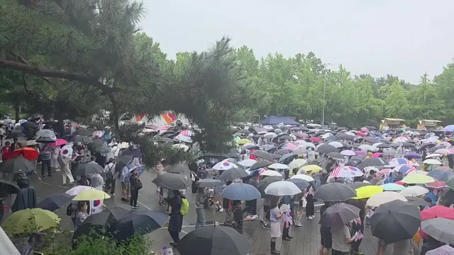 비가와도 나라사랑 
감사합니다 고맙습니다

많은분이 오셨네요
메인 1-3은 만석이네요