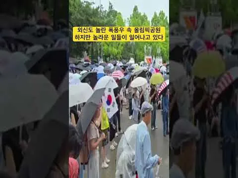외신도 놀란 폭풍우 속 올림픽공원! 하지만 놀라운일들이 일어나고 있다!