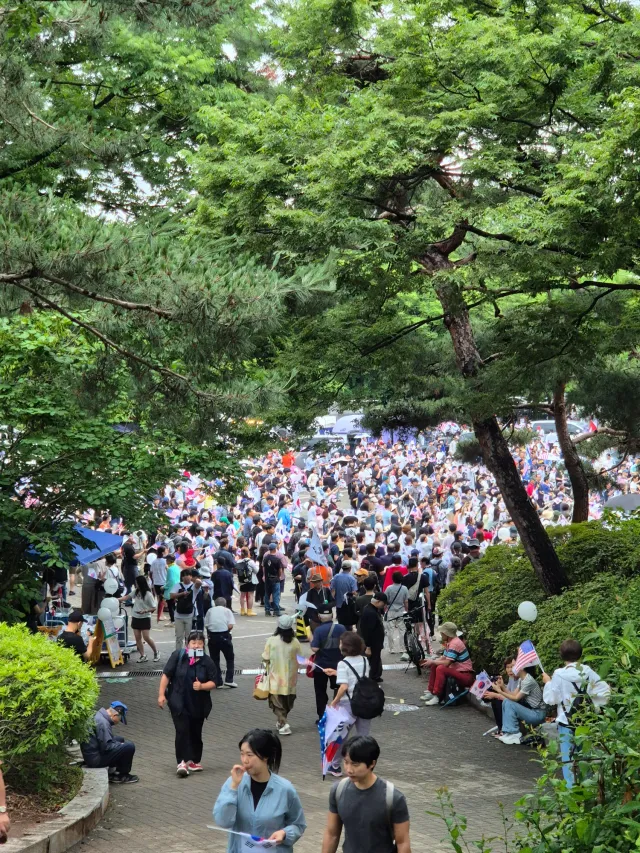 산적들이 출몰했다.
나라를 사랑하고 참정권을 찿으려고
하는 산적들이다.
이렇게 아름답고 자랑스러운 산적이
많으면 나라는 태평성대.~
부정선거.재