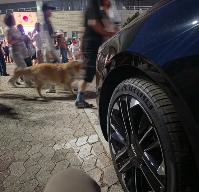 올공 -> 수원 으로 카풀 필요하신분 계신가요?
시간 맞추어보고 곧 귀가예정입니다 저 힘들어요ㅜㅜ