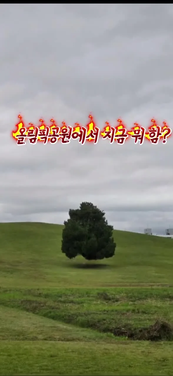 어떤 단체가 아닌 수많은 청년과 어르신이 한데 어우러져 올림픽공원을 형성하였다
런닝하는사람이 될 수도 있고 학교가는 학생 출퇴근을 하는 평범한 
