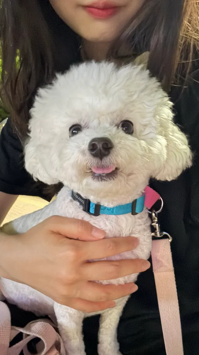 오늘 내 멸공메이트🇰🇷🇺🇸