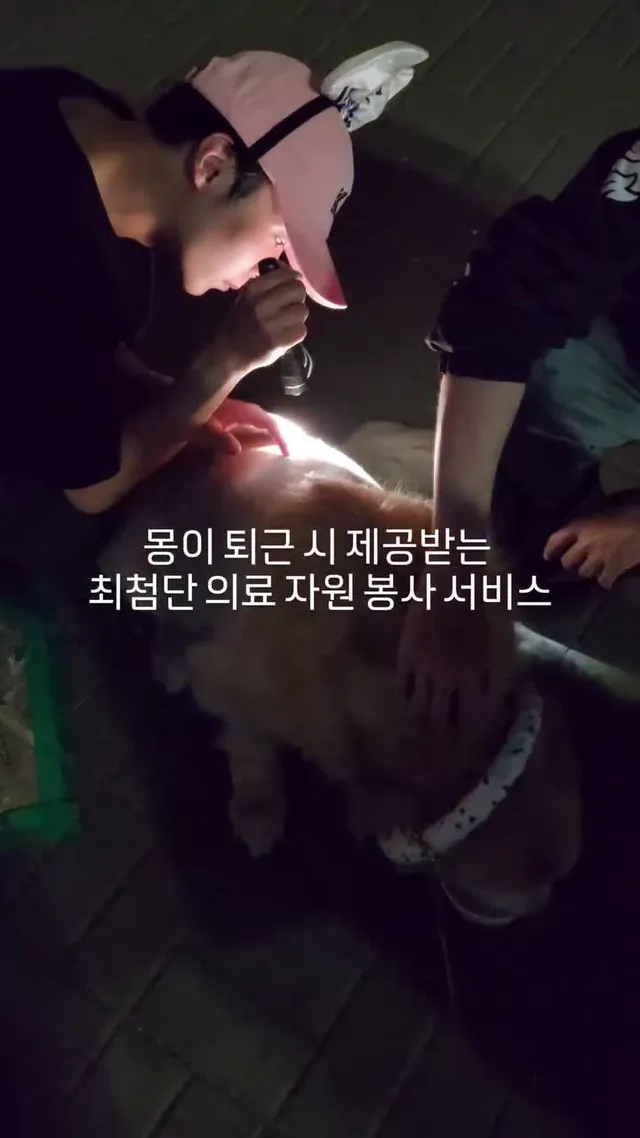#몽비똥 #63잠실평화민주화운동 #자원의료봉시단