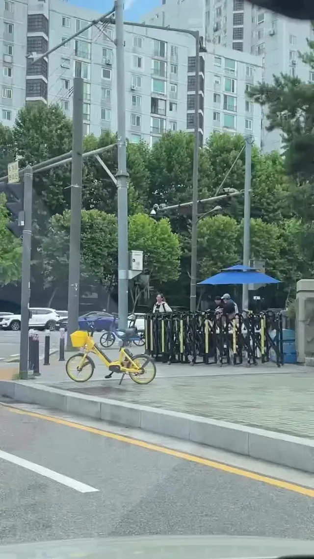 얘네 누구죠??????올림픽공원 동문쪽인데 자녀들을 올림픽공원 시위에 데리고 온다고 아동학대 라고 하고 입에 담을 수 없는 욕들을 하는데 뭐죠?