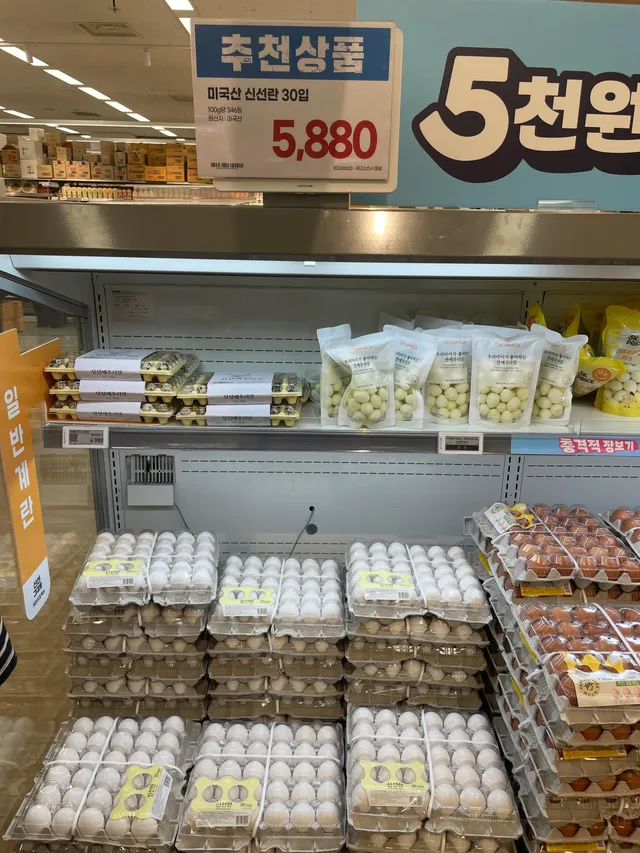 요즘 계란값이 심상치 않더니..

미국산 계란도 나오네..?
근데 왜 물건너온 계란이 왜 더 싼거지...???;;;
애내들은 비행기값도 없나;;