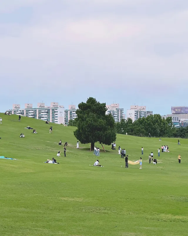올림픽공원🌳

•
-
•
-
•
-
•

🤍촬영장소🤍

📍서울 올림픽공원
서울 송파구 올림픽로 424