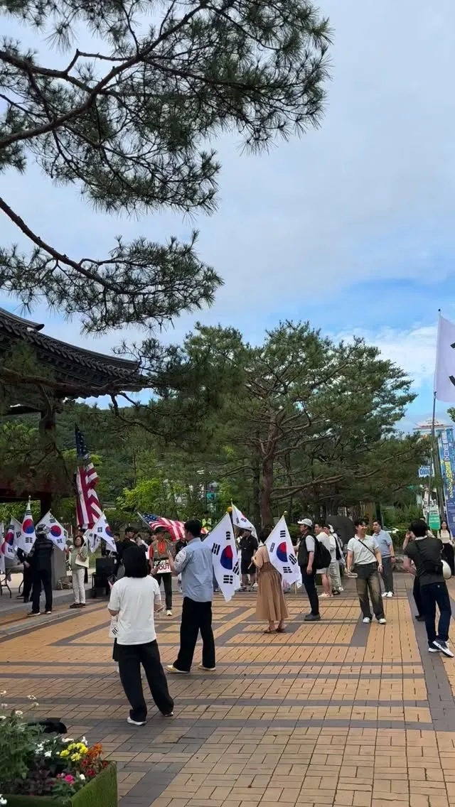 안동 “부정선거 재선거”