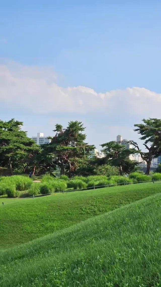 잠실 올림픽공원, 석촌호수 여름 풍경 Olympic Park&  Seokchon Lake Park Summer scenery  #올림픽공원  #