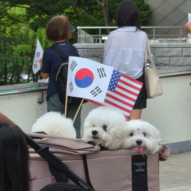 헤헿해햏 너무 귀여워
오늘 힐링 올공 하다가 땀흘리고 귀가합니다
왜냐구요? 원장님이 제 사진을 보셨어요
뉴가 인스타에 올리신걸 보신거같아요

안