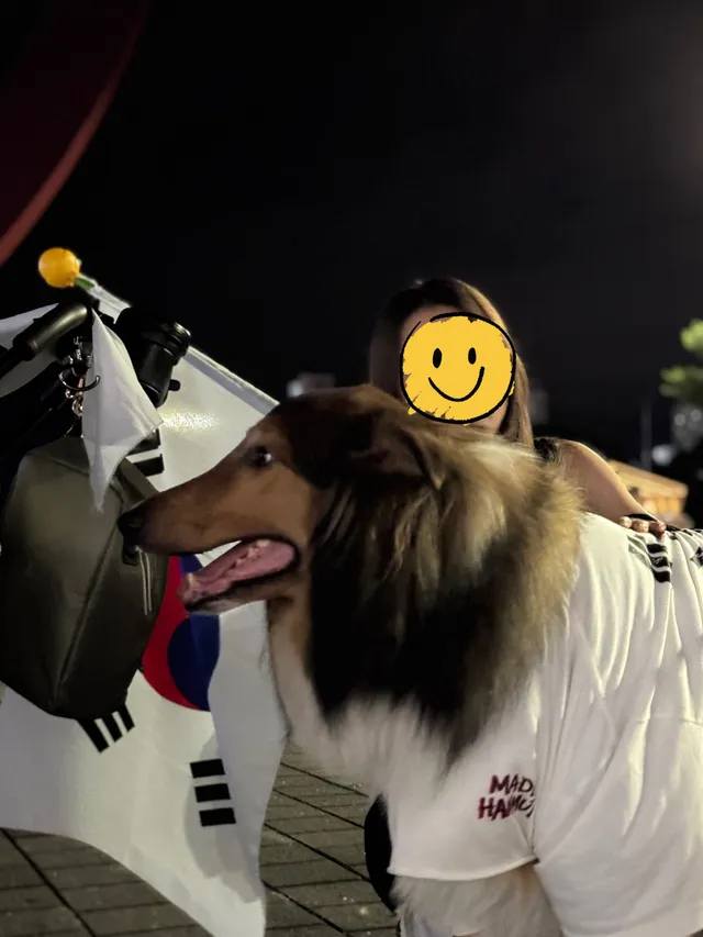 양심고백할게
나 올공에서 사심도 많이 채운다

오늘도 갔어야 하는데ㅠㅠ