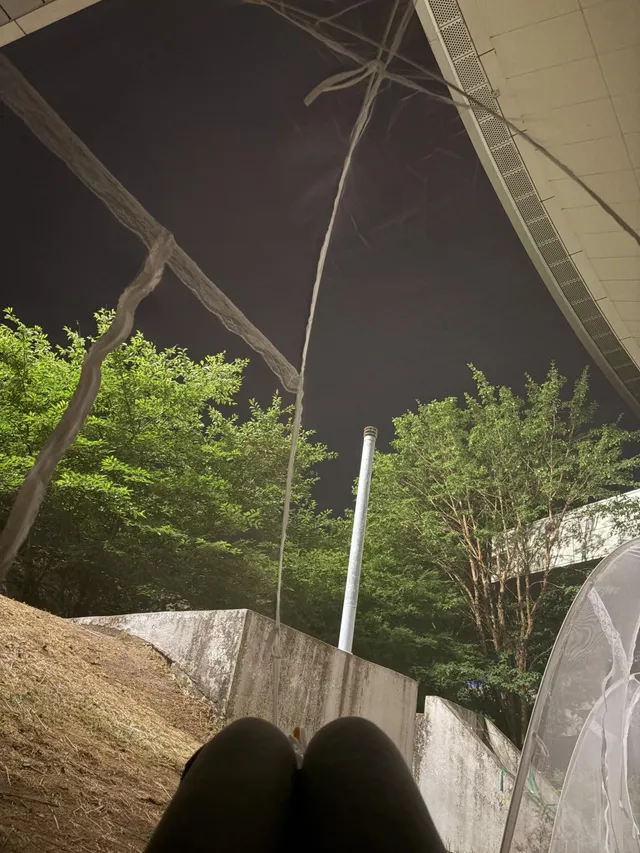 아흥 피고네
내향인존에서 해 뜰때 까지 누워있어야지😪
새소리 나고 좋다
