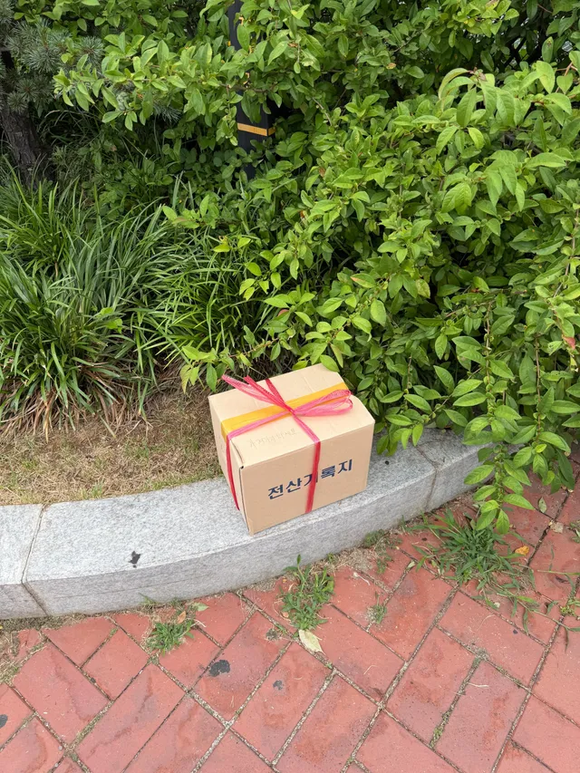 올공역 4번 출구 화단에 누군가 내려놓는걸 본건지 들여다본걸본건지는 모르겠지만 박스에서 기웃거리다 지하철로 들어가는 두명이 있었는데 이게 뭔지 