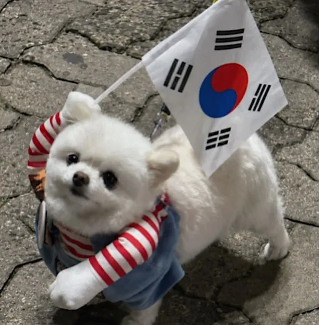 올공 새벽반) 꾸벅꾸벅ˏˏ 구호 외치는 폭주가나디 출몰 📢‧₊˚⟡🐶 ₊˚⊹ᶻ 𝗓 𐰁