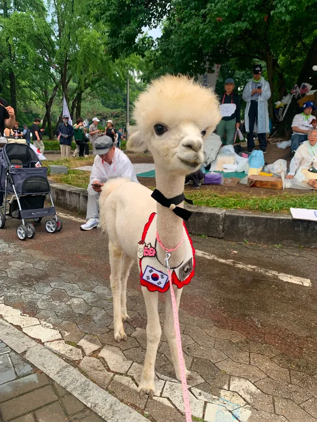 올공 도착요 1-3근처 6시53분