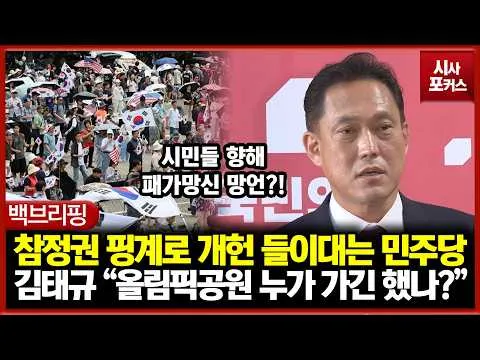 참정권 핑계로 개헌 들이대는 민주당... 팩폭 꽂는 김태규 “올림픽공원 누가 가긴 했나?”