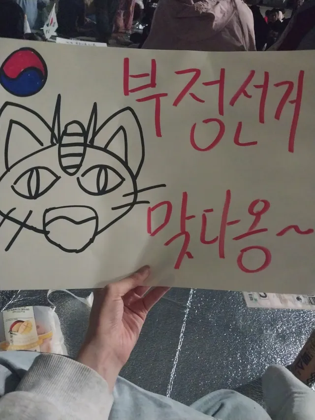 부정선거! 재선거!