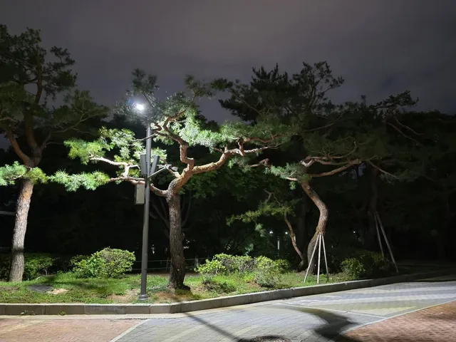 서울올림픽공원