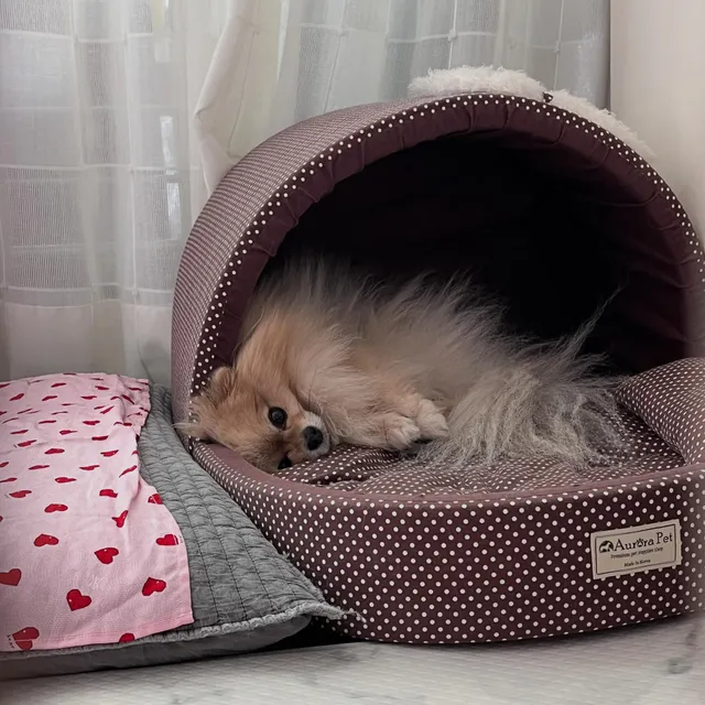 안뇸하세요 오랜만이에요 나 잊지 않았져 ,,,?🥹
현생에 집중해야할 부분(하루 밀착간호)이 있던지라 잠시 비활하고 멀리했던 스레드였는데 직관메
