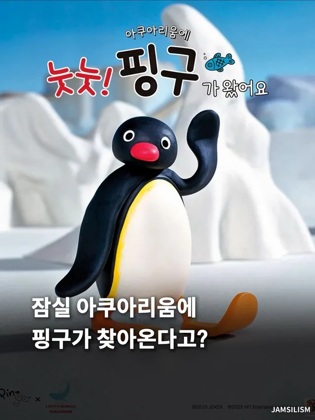 잠실 아쿠아리움에 다시 돌아온 핑구!

지난 여름에 엄청 인기 있었던
핑구가 이번에도 롯데월드
아쿠아리움과 콜라보했는데요!

마린복을 입은 캡틴