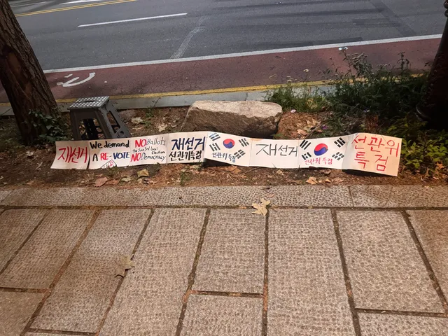 청와대 앞에서도 집회가 이어지고 있어요.
• 직접 그린 태극기를 들고 “재선거!” “선관위 특검!” 외치는 곳
• 평일 저녁 6시 ~ 밤 10시