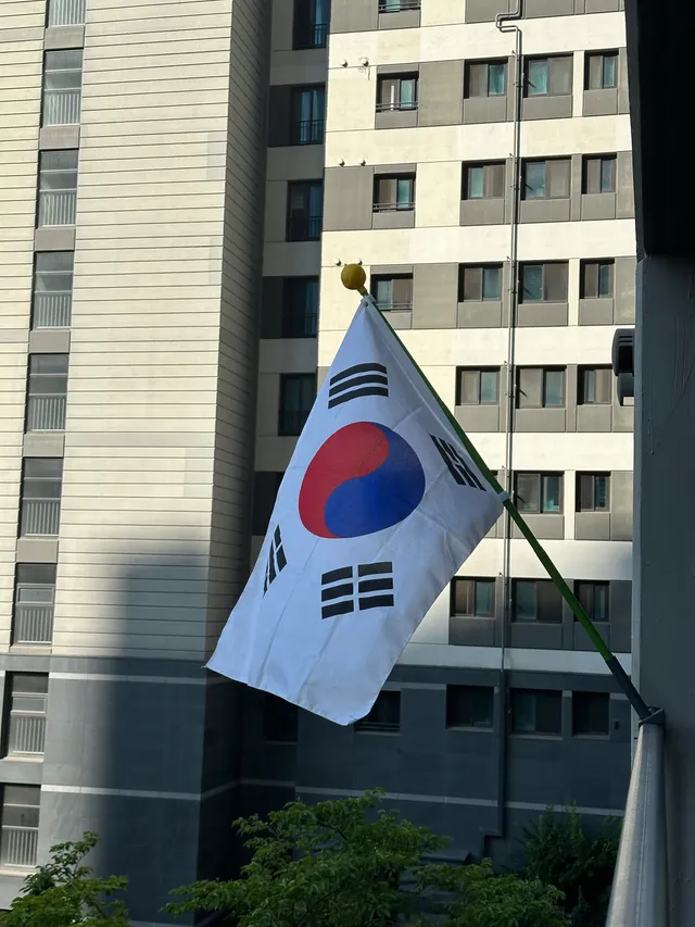내가 먼저 할 수 있는걸 하자 싶어서
아파트에 태극기를 매일 올린지 19일째
역시나 우리집만 그러고 있다 정말 놀랍다 ㅋㅋㅋ
태극기 더 큰것으로