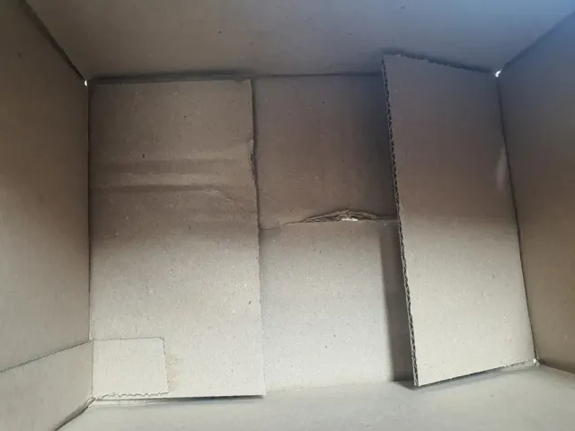 잠복근무 하고 온 후기 : 
새벽 3시에 기습적으로 공격적 선행 작전 

《 재검표 재선거 부정선거 수개표 올림픽공원 시위현장  파스 갖다주고 