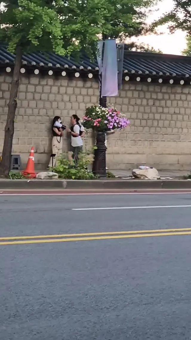저녁 산책중 들려오는 소리
세 젊은이가
선관위 특검 재선거 라고 목이 쉬도록
외치고 있다.  청와대앞 경복긍 담길 옆에서는 민노총 시위하는데
가