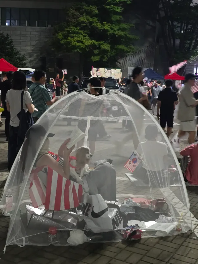 사랑하는 반려견과 함께 모기장 속에서 부정선거 재선거