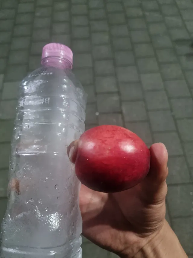 올림픽공원에는 다양한 사람들의 자유가 느껴진다.

누군가는 재선거만을 외치려 하고, 누군가는 부정선거 재선거 당일투표 수개표를, 누군가는 태극기