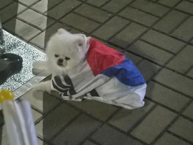 .
#올림픽공원

예배

애국가

부정선거 재선거
당일투표 수개표

그는
곤고한 자의 곤고를
멸시하거나 싫어하지 아니하시며
그 얼굴을 저에게서 