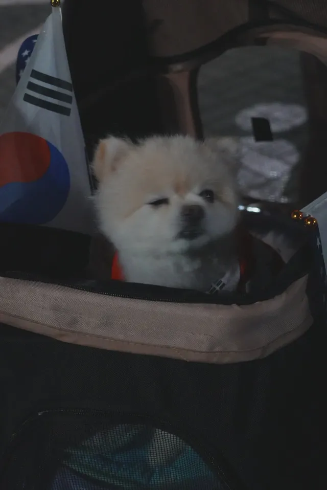 역사적인 올공의 순간들을 
사진으로 남겨드리고 있어요.