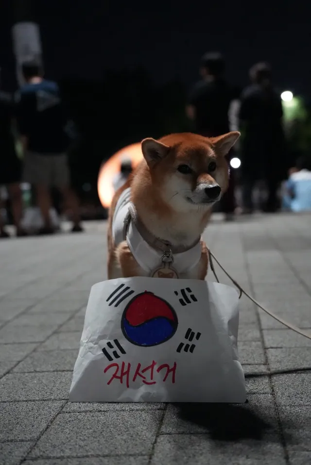 역사적인 올공의 순간들을 
사진으로 남겨드리고 있어요.