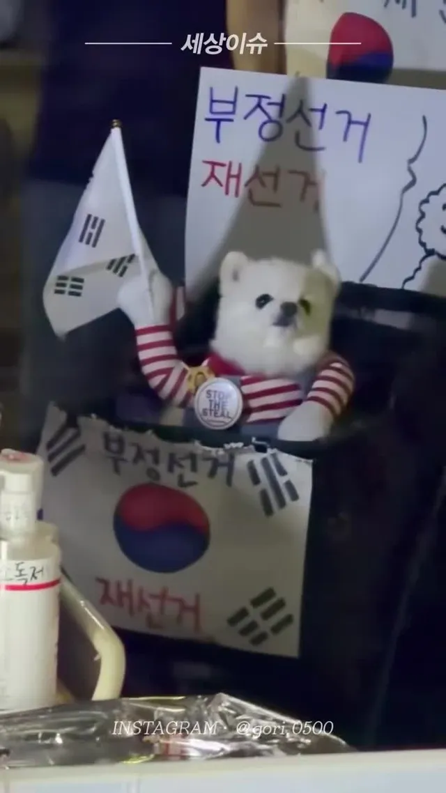 🐶 강아지도 함께 응원 중 🇰🇷 6.20 올림픽공원 현장입니다. 어르신부터 청년들, 가족 단위 참여자들 그리고 귀여운 반려견까지 각자의 방