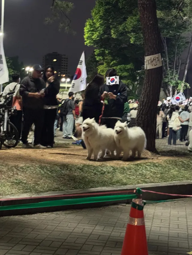 달리고도 싶고 올공도 가고싶고 올공런

워터밤in올공

감기조심하세요🙏🏼❣️

투표만 하게 해달란건데 

깨어나

아무리 여러방면으로 생각해