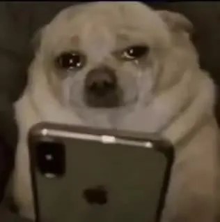 올공  2-1에 사람도 없고 밥도 없어요
ㅠ ㅠ 훔 훔 제발 2-1에 공격을 멈취주세요
웅 웅 웅 으잉잉잉 오옹옹옹
쿠이 쿠이 제발 공격하지 말