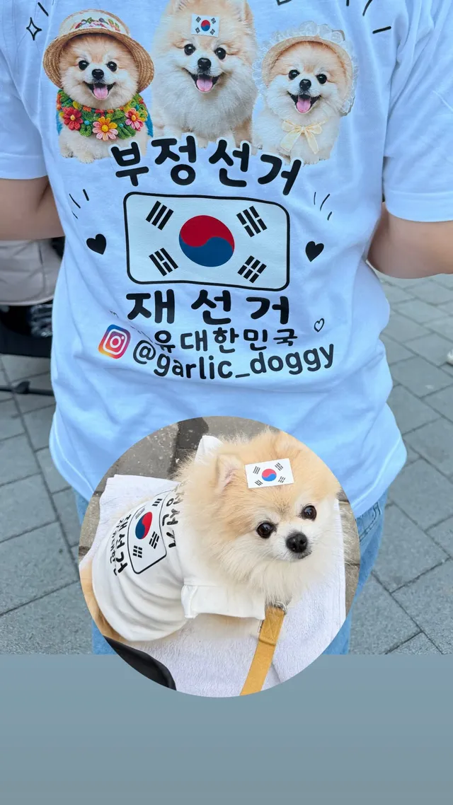 부정선거 재선거 올공 연주 끝~~