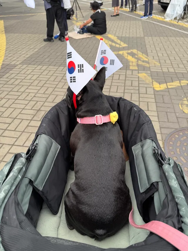 매일 올공소식 쓰래드로 보는데
뭐 이제 사람도 없고 다 어르신들 밖에 없다 어쩐다 하길래
날도 날이고 625⭐️ 직접 나가봄 
아직 직장인 퇴근