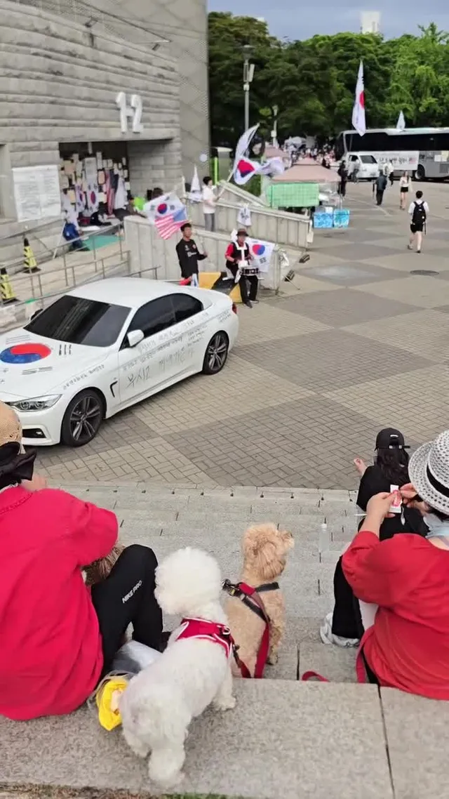 애국 댕댕이랑 부정선거 재선거 구호 외치기.
👍✨️🇰🇷🐶❣️