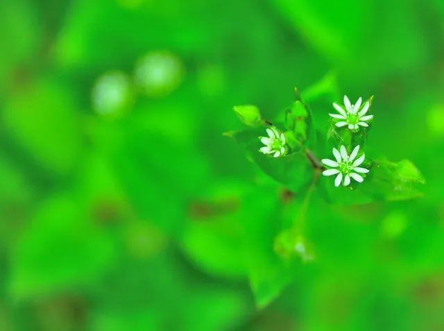 혹시 오해는 마세요. 저는 젊은 친구들과 약속했듯이, 올공 현장엔 못 나가도 스레드에서 열심히 응원을 한다고 했습니다.
그래서 여러분들의 글에 