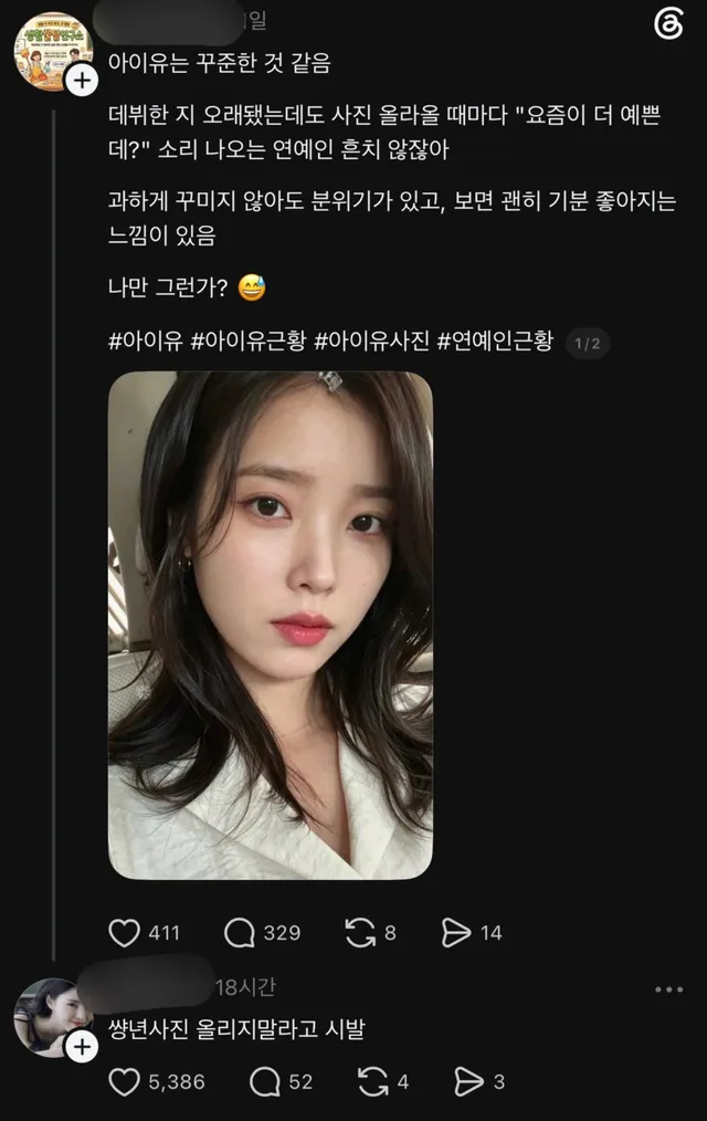아이유 팬의 글과 아이유의 사진이 올라오고 반나절도 지나지 않아 “OO 사진 올리지 말라고 OO”이라는 모욕적 댓글에 5천이 넘는 추천이 달린다