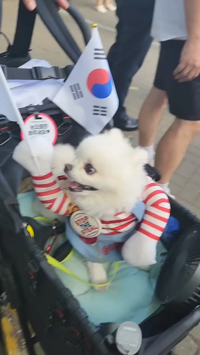 [2026.06.26(금) 오후6시 3분 올공 실시간 영상]
거동이 불편하신 분도 가나디도 나와서 태극기를 흔들고 있습니다~🇰🇷

외부 상황
