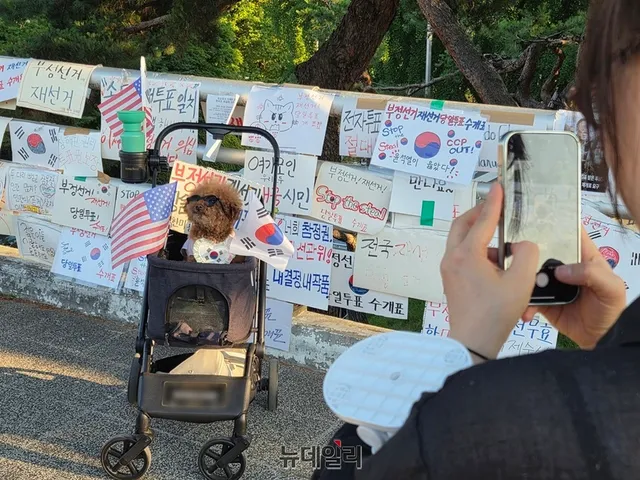 17살 푸들도 태극기 둘렀다 … "중요한 건 현장에 계속 사람이 있다는 ...

17살 반려견