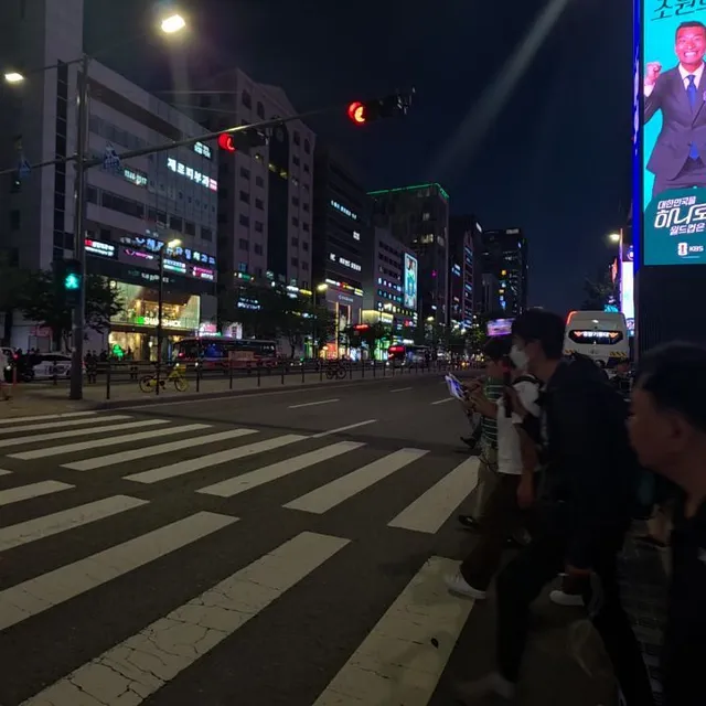 강남역 횡단보도 건너면서 외치는 
"부정선거 재선거 당일투표 수개표"