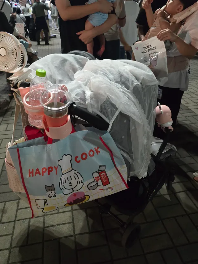 쌍둥이도 아기도 부정선거 재선거