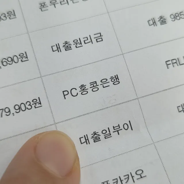 나 요즘 부정선거 관련글 엄청 올렸거든
인스타랑 쓰레드에

근데 오늘 내 통장에 
의문의 돈(pc홍콩은행.오토페이) 입금되서 경찰 신고하긴 했는