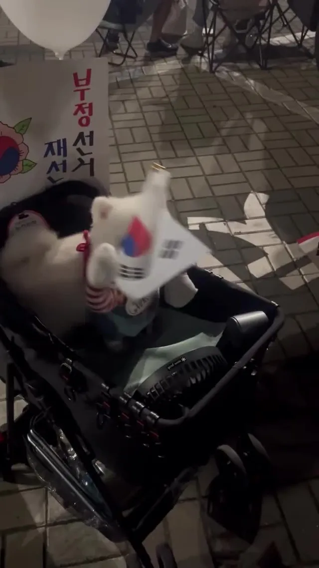 와 애국 강아지!!
