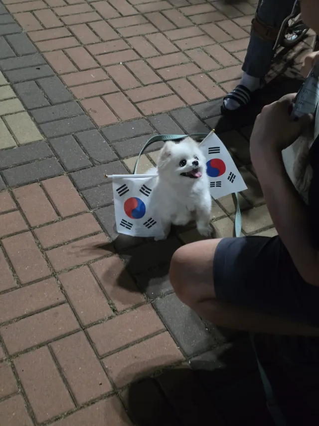 ​긴 해외 출장을 마치고 2주 만에 올공에 다녀왔습니다.

여전히 자유 대한민국을 지키기 위해 목소리 높이는 애국자분들이 계셨고, 그 든든한 모