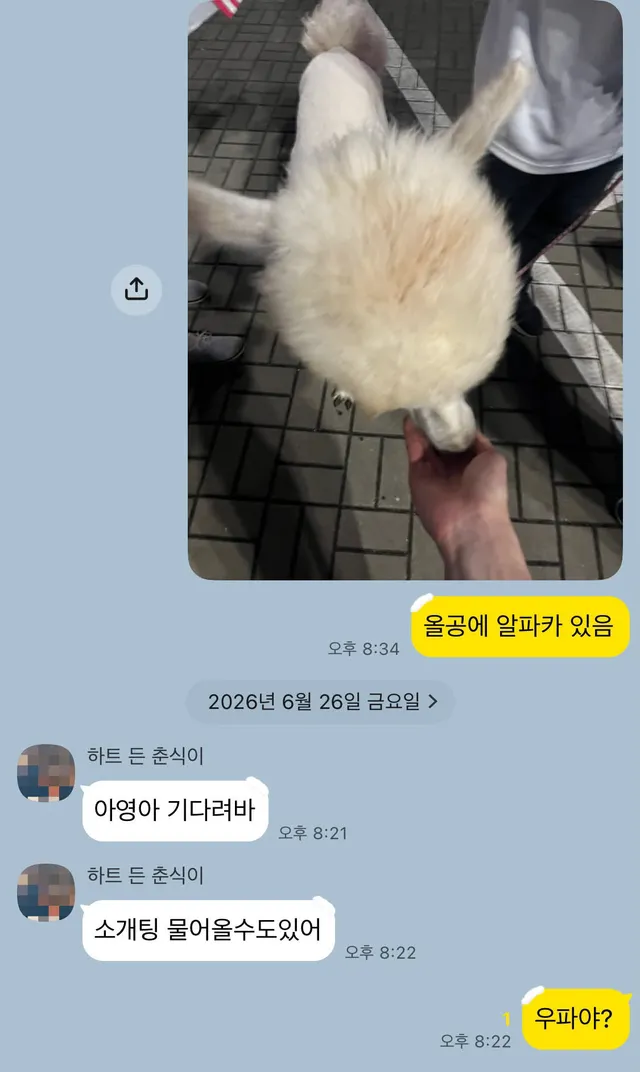 오늘의 한 일)
- 필라테스 
- 소개팅 제의 받음
- 전한길 선생님께 인사드림
- 목소리 짱 큰 분들 옆에 있었음
- 카스테라 받음
- 루루 