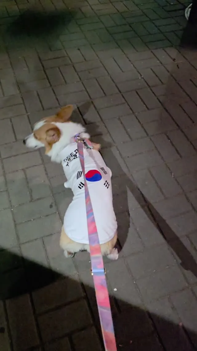오늘자 올공 요약:
문화 예술이 얹어지고 있는 올공✨️

브레이크댄스, 팝핀 등 스트릿댄스
섹소폰
오케스트라
첼로
자작곡 기타리스트 
아멘존 등